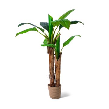 Banana Tree - Pianta artificiale in vaso H150 cm Frankystar Verde