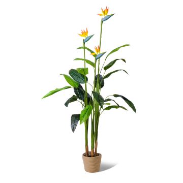 Bird of Paradise - Pianta artificiale in vaso H160 cm Frankystar Verde