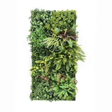 Flora - Quadro vegetale 100x50 cm con foglie e fiori in PE cornice in PVC nero Frankystar Verde
