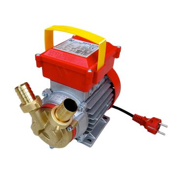 Pompa da travaso con motore monofase ROVER 0,8 HP Rover Rosso