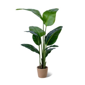 Traveller Banana - Pianta artificiale in vaso H160 cm Frankystar Verde